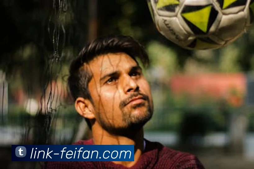 非凡官方中心平台生态图