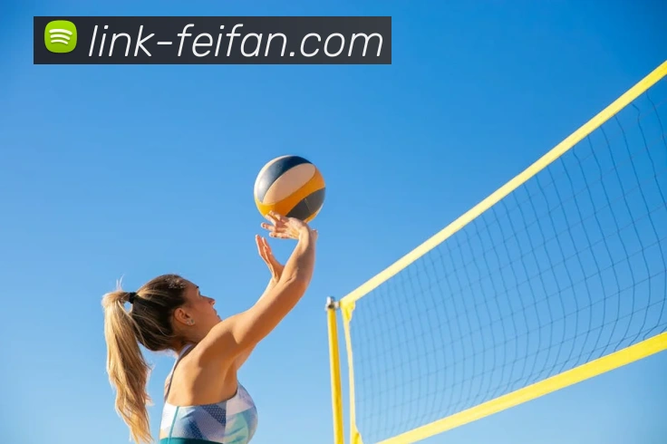 非凡官方中心全站App 非凡官方中心全站App